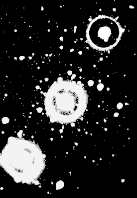Orione